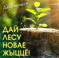Акция «Дай лесу новае жыццё – 2025» Акция «Дай лесу новае жыццё – 2025»