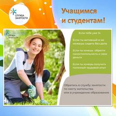 Трудоустройство молодежи