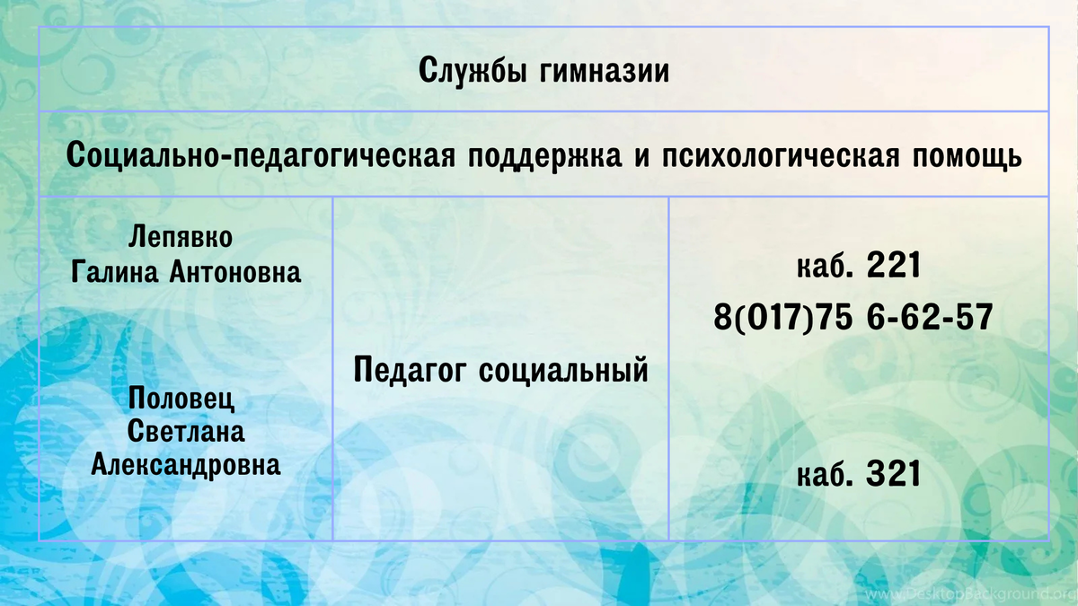 Руководство